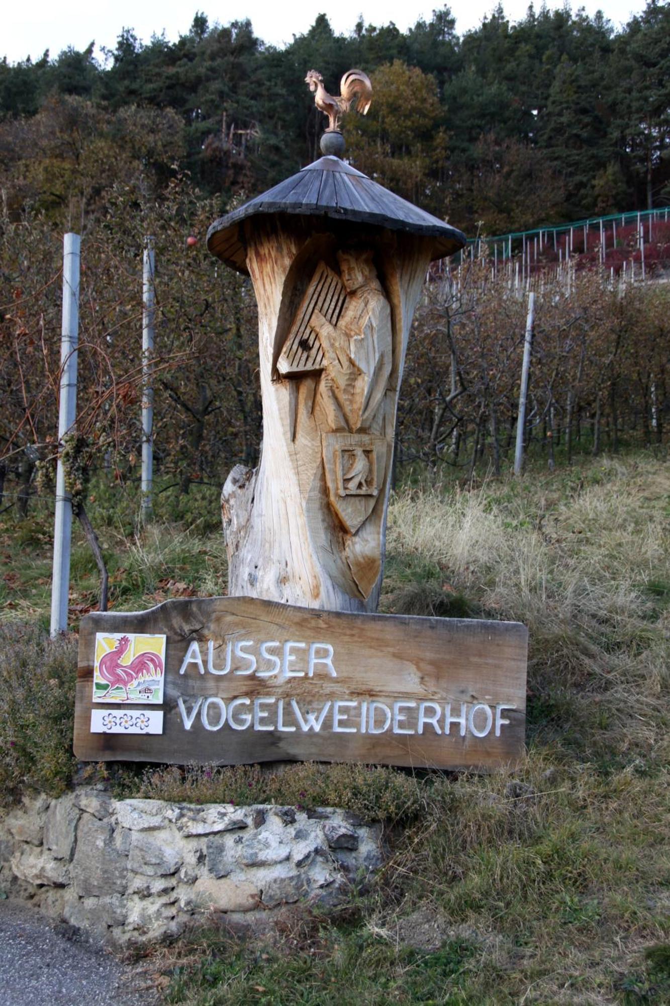 לאיון Ausservogelweiderhof מראה חיצוני תמונה